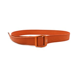 Arcteryx Belt - L