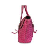 Bottega Veneta 'Vivo Cervo' Satchel