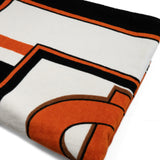 Burberry Beach Towel