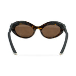 Balenciaga Brown Sunglasses back