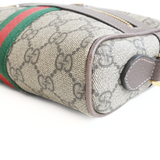 Gucci 'Ophidia' Mini Crossbody Bag