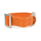 Heron Preston Dog Collar - M