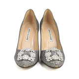 Manolo Blahnik 'Hangisi' Pumps - Women's 37.5