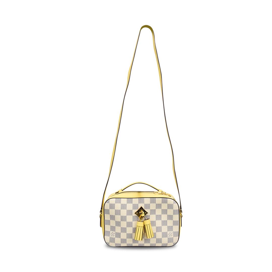 Louis Vuitton 'Saintonge' Bag - Fashionably Yours