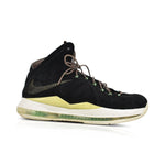 Nike Lebron Zoom Air - Men's 10 - Fashionably Yours